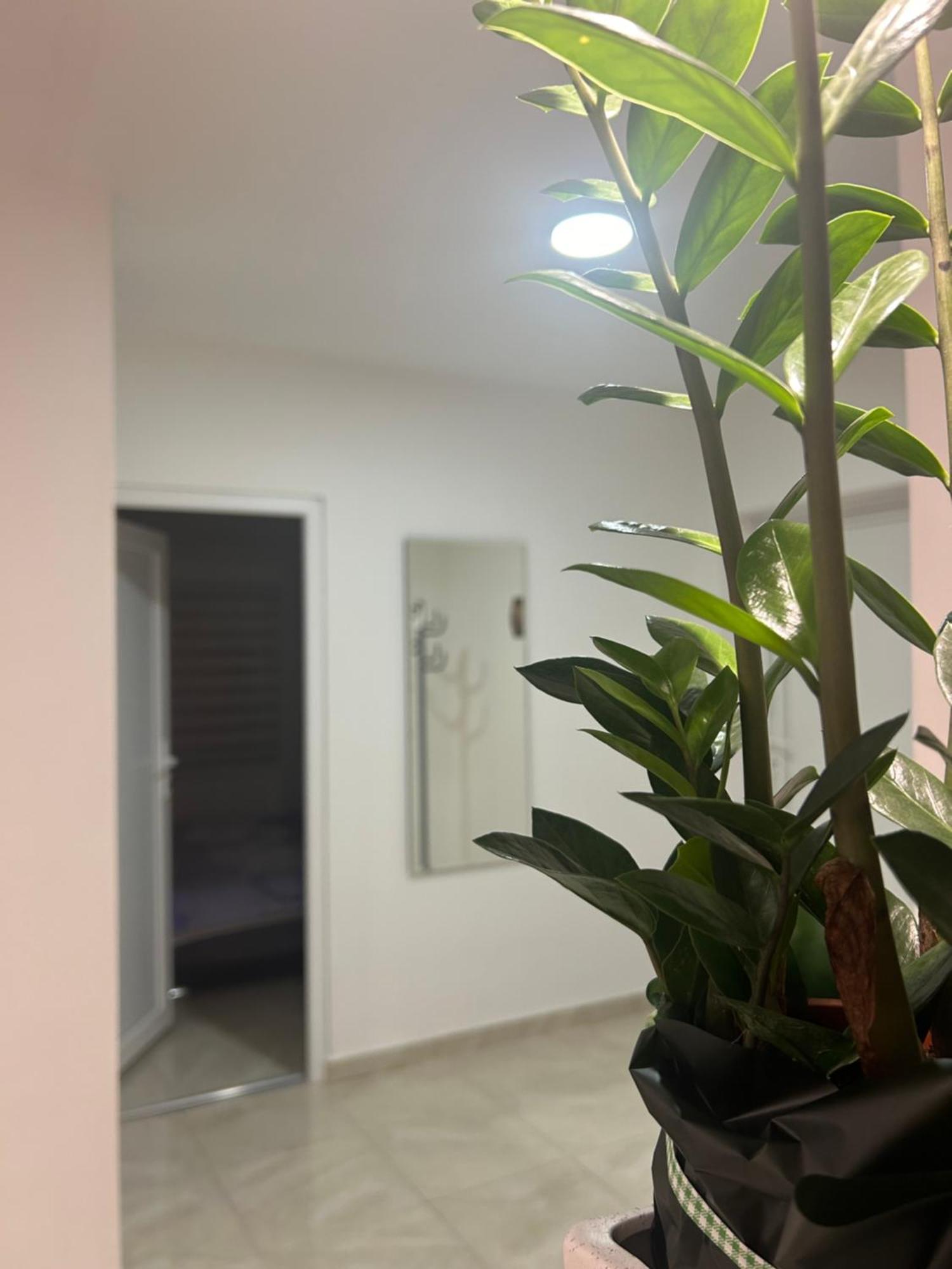 Apartman Diamond Lux Surčin Extérieur photo