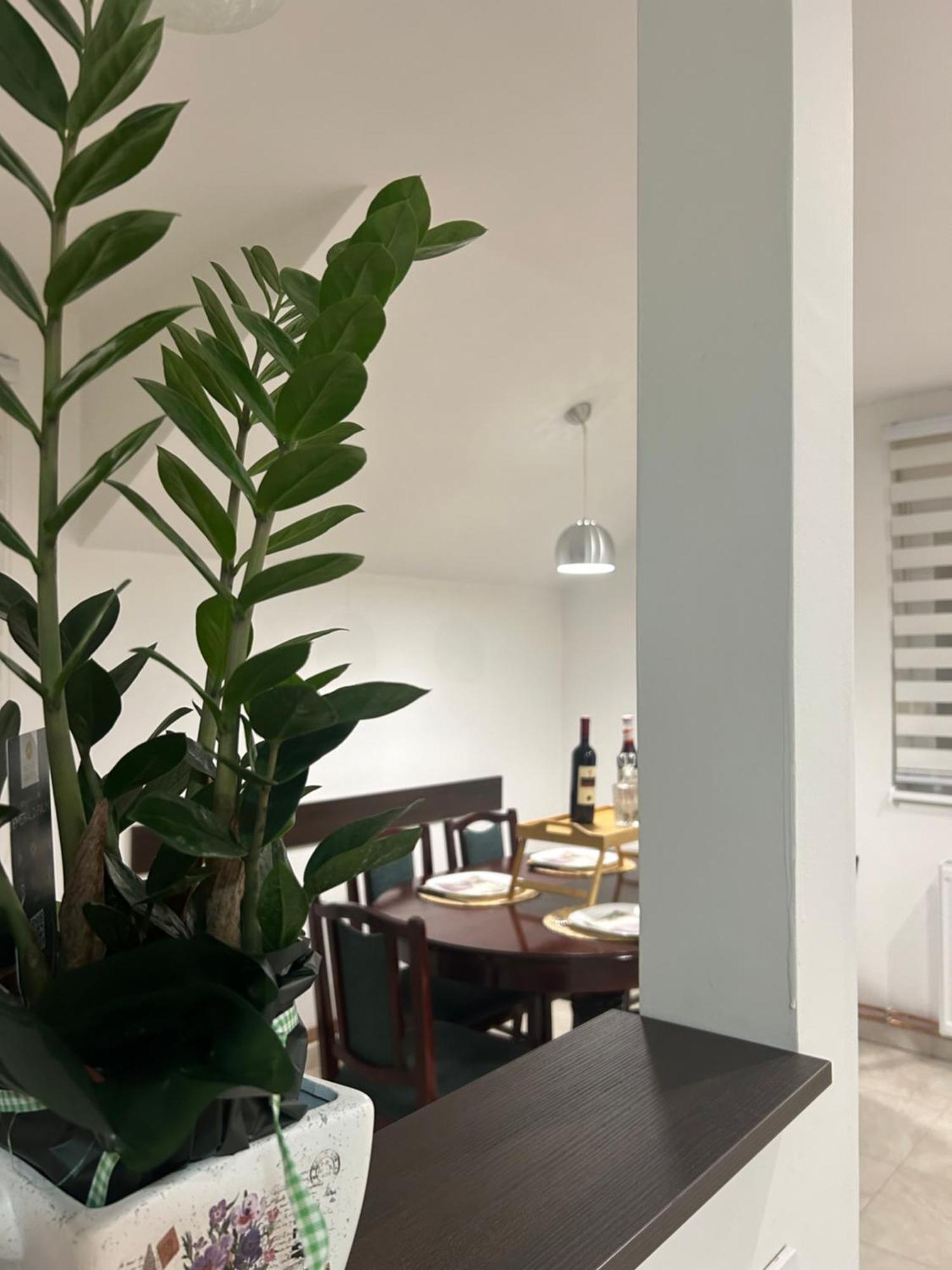 Apartman Diamond Lux Surčin Extérieur photo