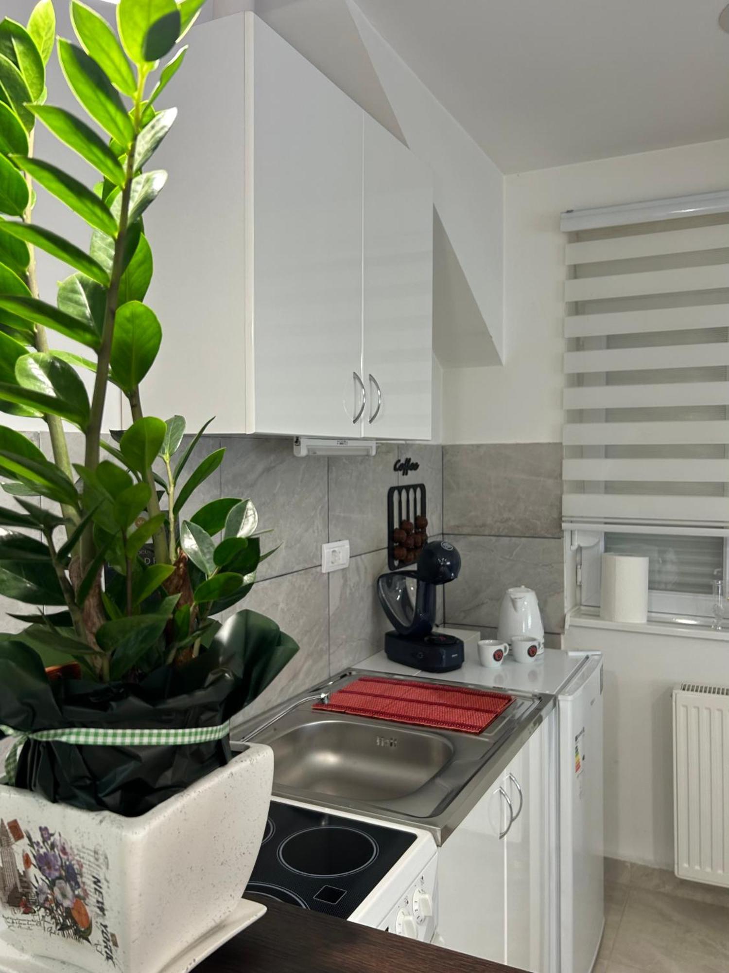 Apartman Diamond Lux Surčin Extérieur photo